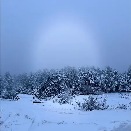 Villa Pefkas Hill Nezerós