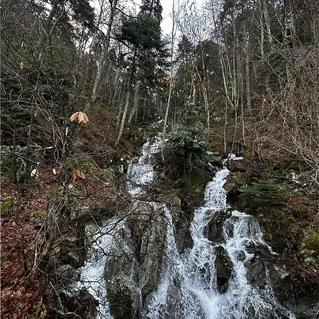 Villa Pefkas Hill Nezerós
