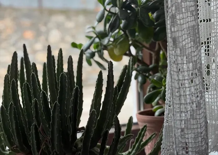 Vila Pefkas Hill Nezerós